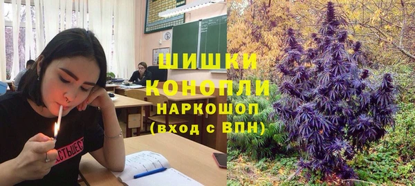 гидра Белокуриха