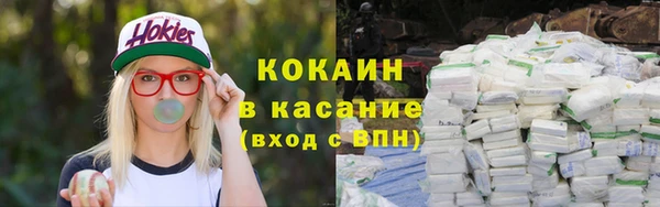 гидра Белокуриха