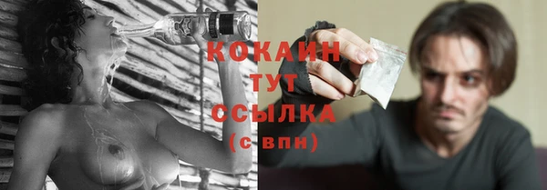 гидра Белокуриха