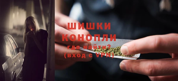 гидра Белокуриха
