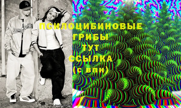гидра Белокуриха