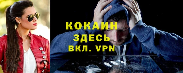гидра Белокуриха
