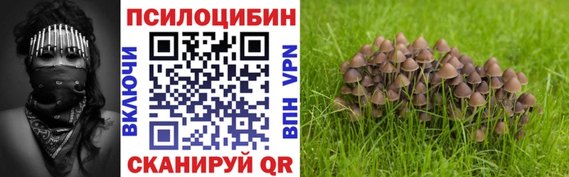 Псилоцибиновые грибы MAGIC MUSHROOMS  Ворсма 